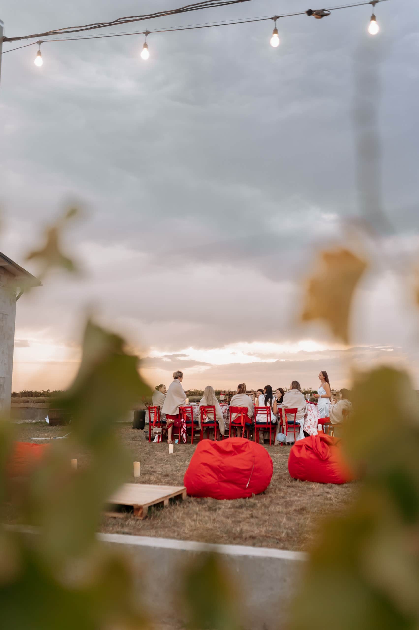A table laid for a celebration